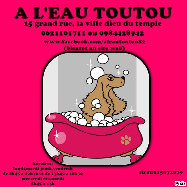 by Quakers Family - Ouverture du salon de toilettage A L'EAU TOUTOU